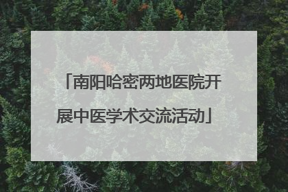 南阳哈密两地医院开展中医学术交流活动