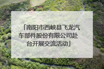 南阳市西峡县飞龙汽车部件股份有限公司赴台开展交流活动