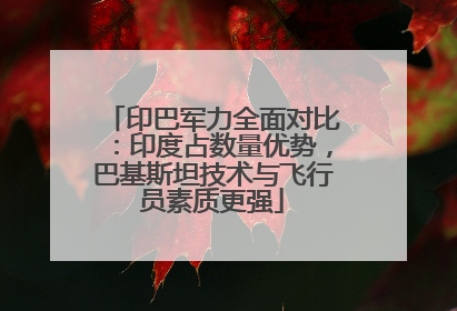 印巴军力全面对比：印度占数量优势，巴基斯坦技术与飞行员素质更强