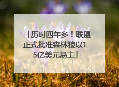 历时四年多！联盟正式批准森林狼以15亿美元易主