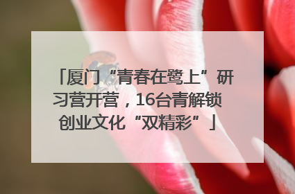 厦门“青春在鹭上”研习营开营，16台青解锁创业文化“双精彩”