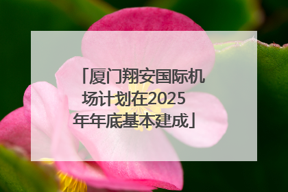 厦门翔安国际机场计划在2025年年底基本建成
