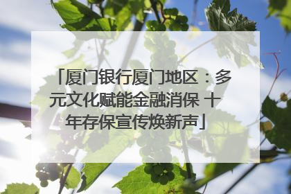 厦门银行厦门地区：多元文化赋能金融消保 十年存保宣传焕新声