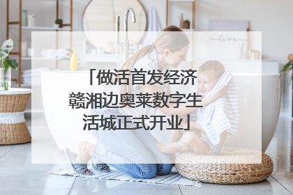 做活首发经济 赣湘边奥莱数字生活城正式开业
