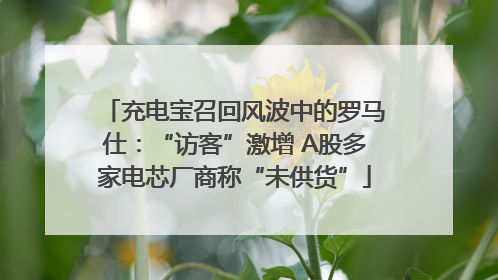 充电宝召回风波中的罗马仕：“访客”激增 A股多家电芯厂商称“未供货”