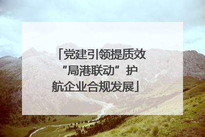 党建引领提质效 “局港联动”护航企业合规发展