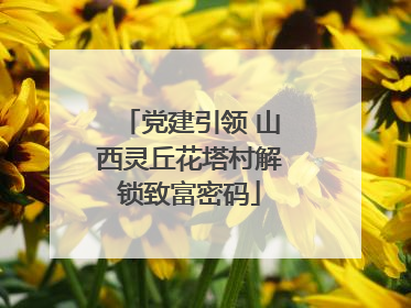 党建引领 山西灵丘花塔村解锁致富密码