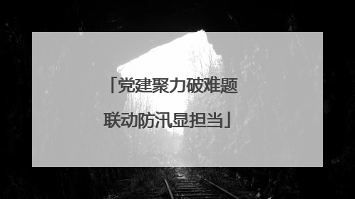 党建聚力破难题 联动防汛显担当
