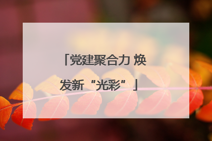 党建聚合力 焕发新“光彩”