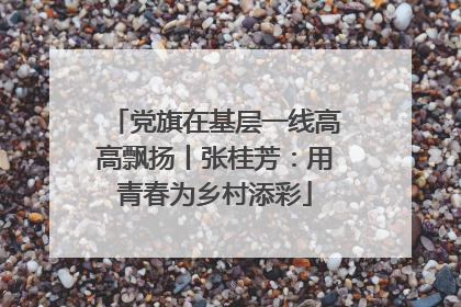 党旗在基层一线高高飘扬丨张桂芳：用青春为乡村添彩