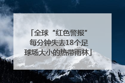 全球“红色警报”  每分钟失去18个足球场大小的热带雨林