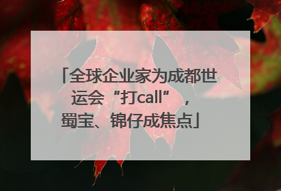 全球企业家为成都世运会“打call”，蜀宝、锦仔成焦点