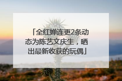 全红婵连更2条动态为陈艺文庆生，晒出最新收获的玩偶