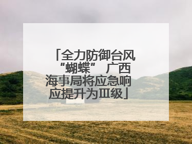 全力防御台风“蝴蝶” 广西海事局将应急响应提升为Ⅲ级