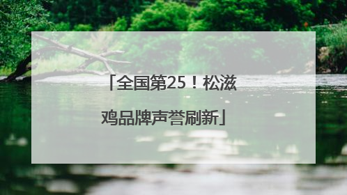 全国第25！松滋鸡品牌声誉刷新