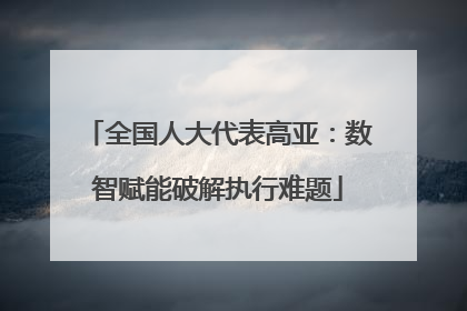 全国人大代表高亚：数智赋能破解执行难题