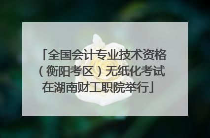 全国会计专业技术资格（衡阳考区）无纸化考试在湖南财工职院举行