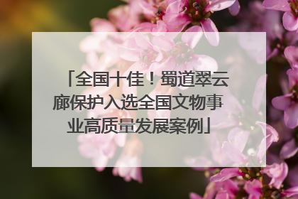 全国十佳！蜀道翠云廊保护入选全国文物事业高质量发展案例