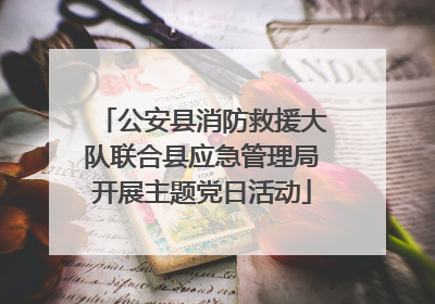 公安县消防救援大队联合县应急管理局开展主题党日活动