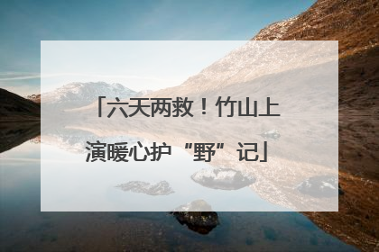 六天两救！竹山上演暖心护“野”记