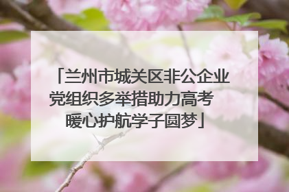 兰州市城关区非公企业党组织多举措助力高考 暖心护航学子圆梦