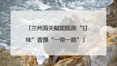 兰州海关赋能陇原“甘味”香飘“一带一路”