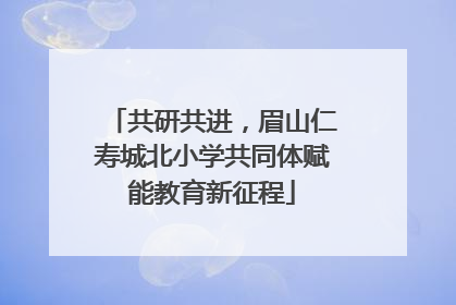 共研共进，眉山仁寿城北小学共同体赋能教育新征程
