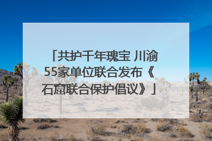 共护千年瑰宝 川渝55家单位联合发布《石窟联合保护倡议》