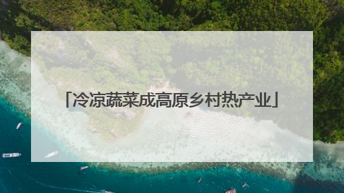 冷凉蔬菜成高原乡村热产业