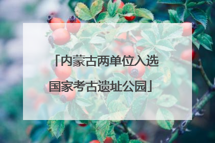内蒙古两单位入选国家考古遗址公园