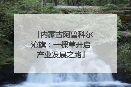 内蒙古阿鲁科尔沁旗：一棵草开启产业发展之路
