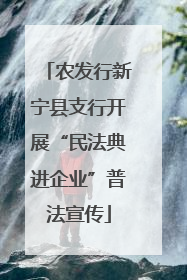 农发行新宁县支行开展“民法典进企业”普法宣传
