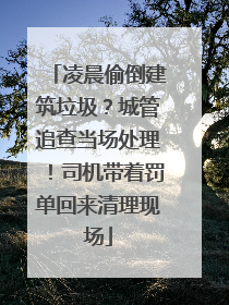 凌晨偷倒建筑垃圾？城管追查当场处理！司机带着罚单回来清理现场