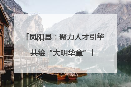 凤阳县：聚力人才引擎 共绘“大明华章”