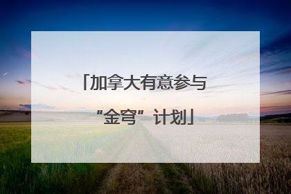 加拿大有意参与“金穹”计划