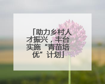 助力乡村人才振兴，丰台实施“青苗培优”计划