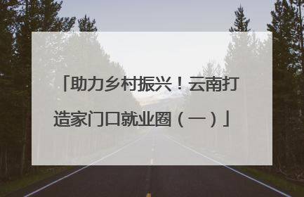 助力乡村振兴！云南打造家门口就业圈（一）