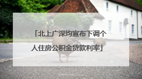 北上广深均宣布下调个人住房公积金贷款利率