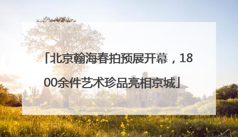 北京翰海春拍预展开幕，1800余件艺术珍品亮相京城