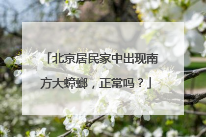 北京居民家中出现南方大蟑螂，正常吗？