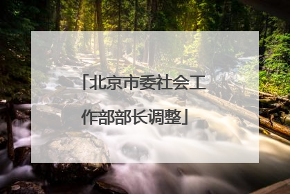 北京市委社会工作部部长调整