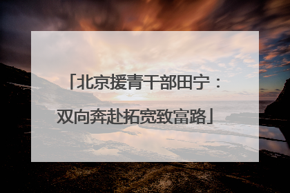 北京援青干部田宁：双向奔赴拓宽致富路
