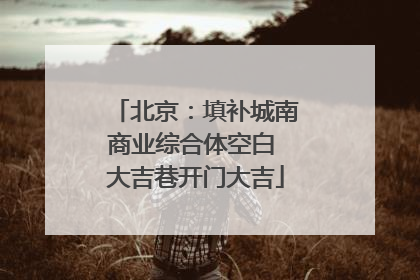 北京：填补城南商业综合体空白 大吉巷开门大吉