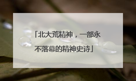北大荒精神，一部永不落幕的精神史诗