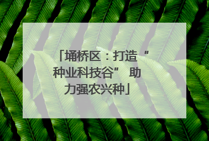 埇桥区：打造“种业科技谷” 助力强农兴种