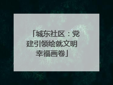 城东社区：党建引领绘就文明幸福画卷
