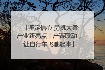 坚定信心 勇挑大梁·产业新亮点丨产赛联动，让自行车飞驰起来
