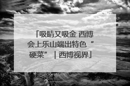 吸睛又吸金 西博会上乐山端出特色“硬菜”｜西博视界