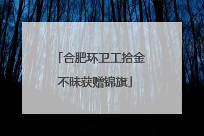 合肥环卫工拾金不昧获赠锦旗