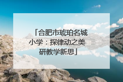 合肥市琥珀名城小学：探律动之美 研教学新思